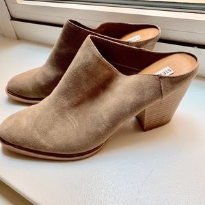 Steve Madden Suede Mules
